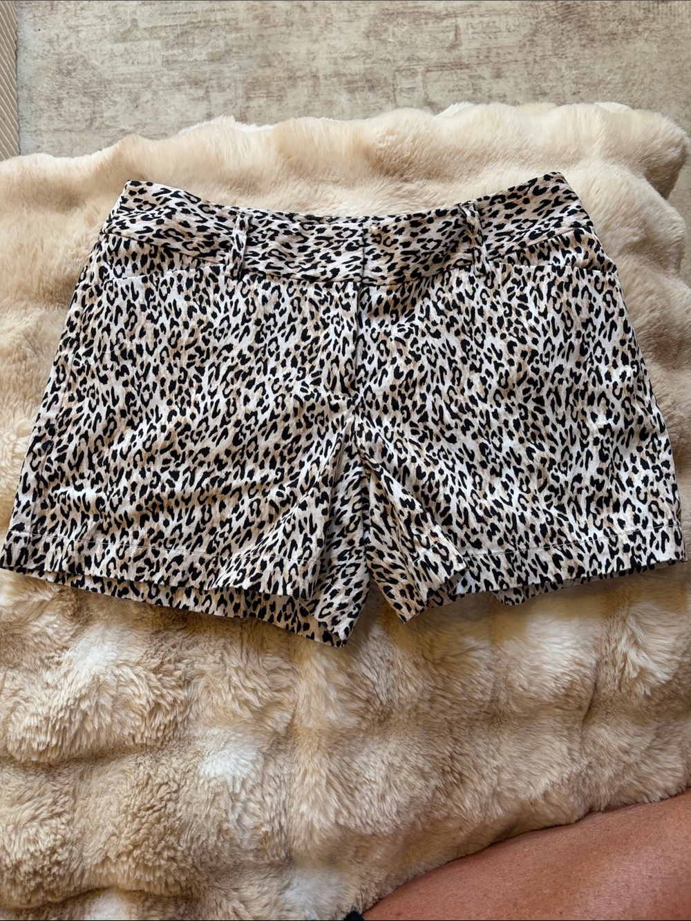 White House Black Market animal print shorts size 4 cotton spandex blend